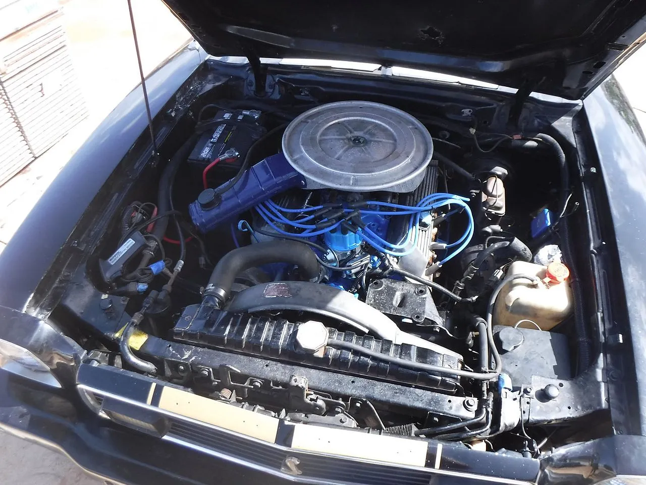 dscf0238-jpg.624832.webp