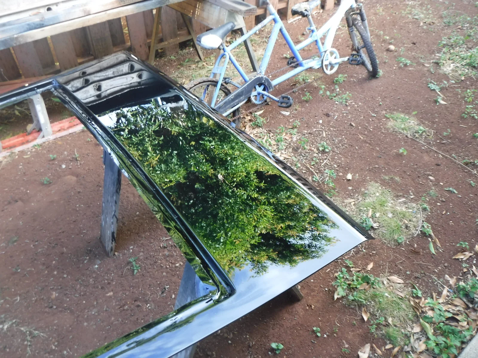 DSCF0241.webp