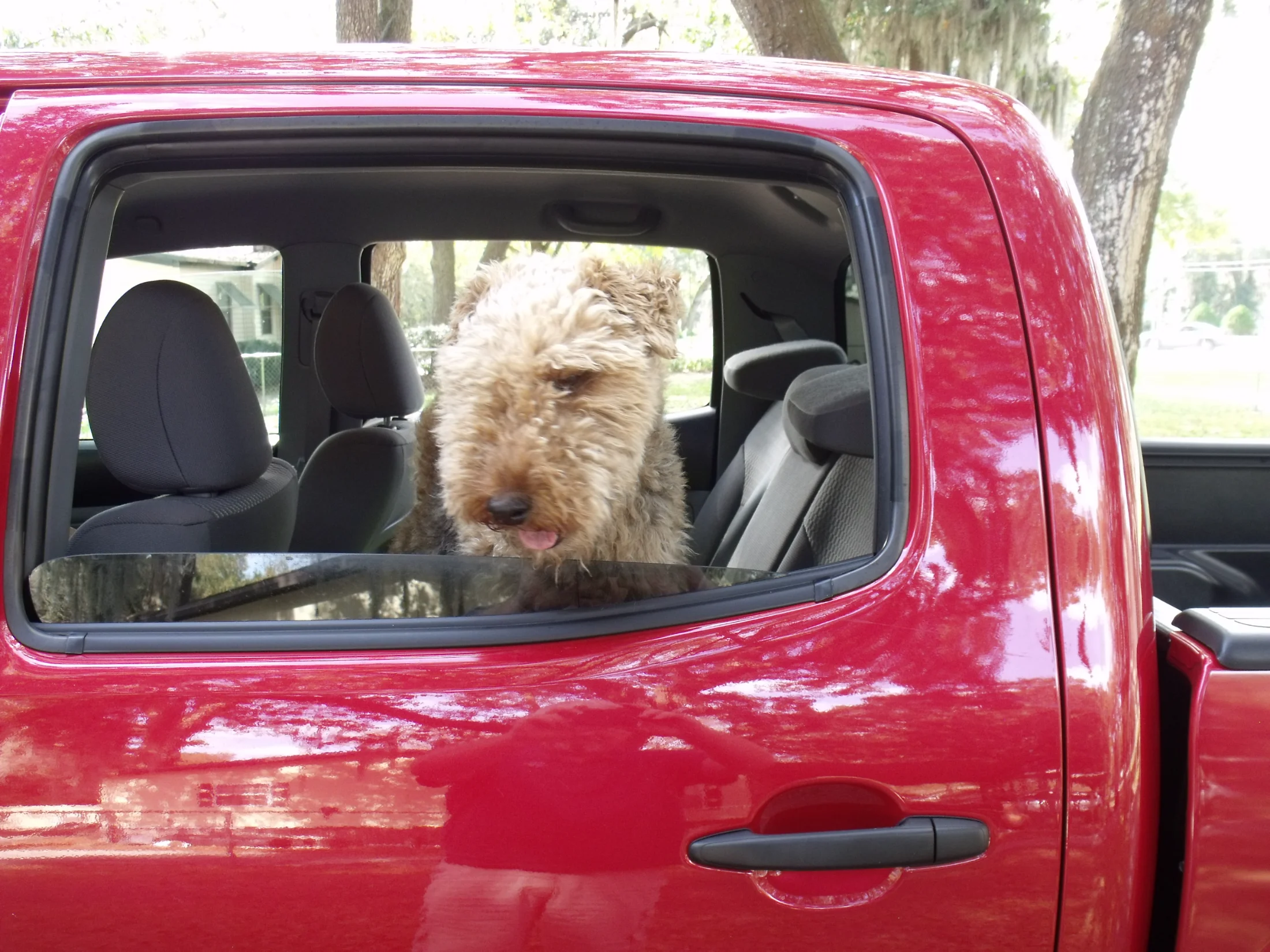 DSCF0241.webp