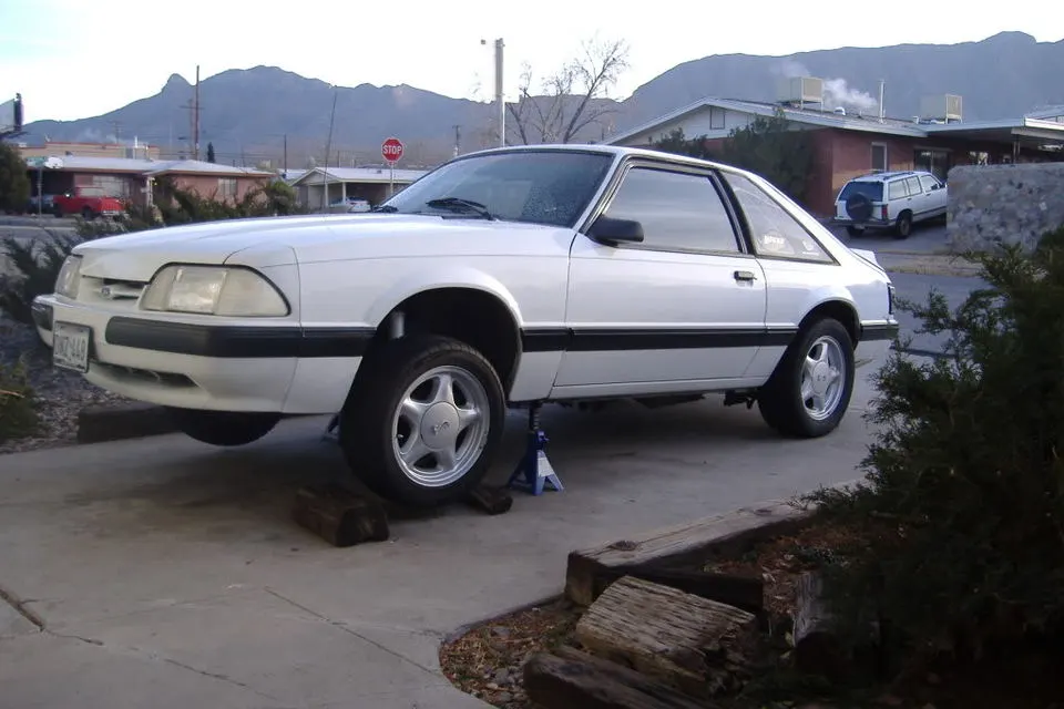DSCF0247.webp