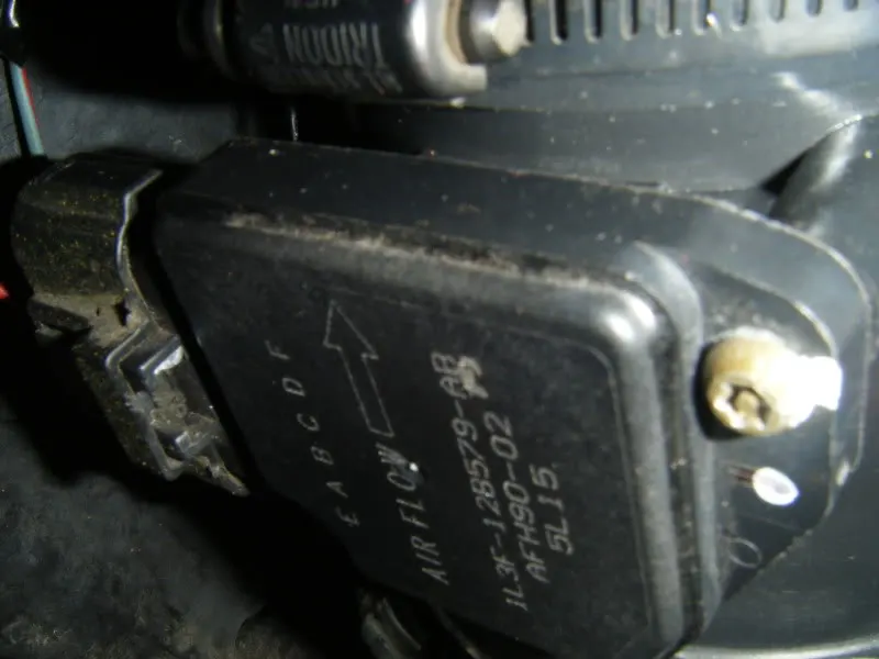 DSCF0273.webp