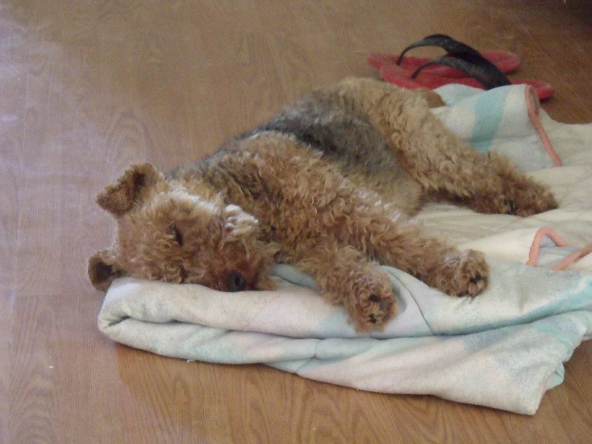 DSCF0299.webp
