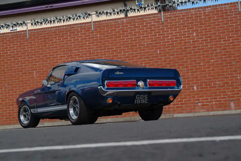 DSCF0306_filtered.webp