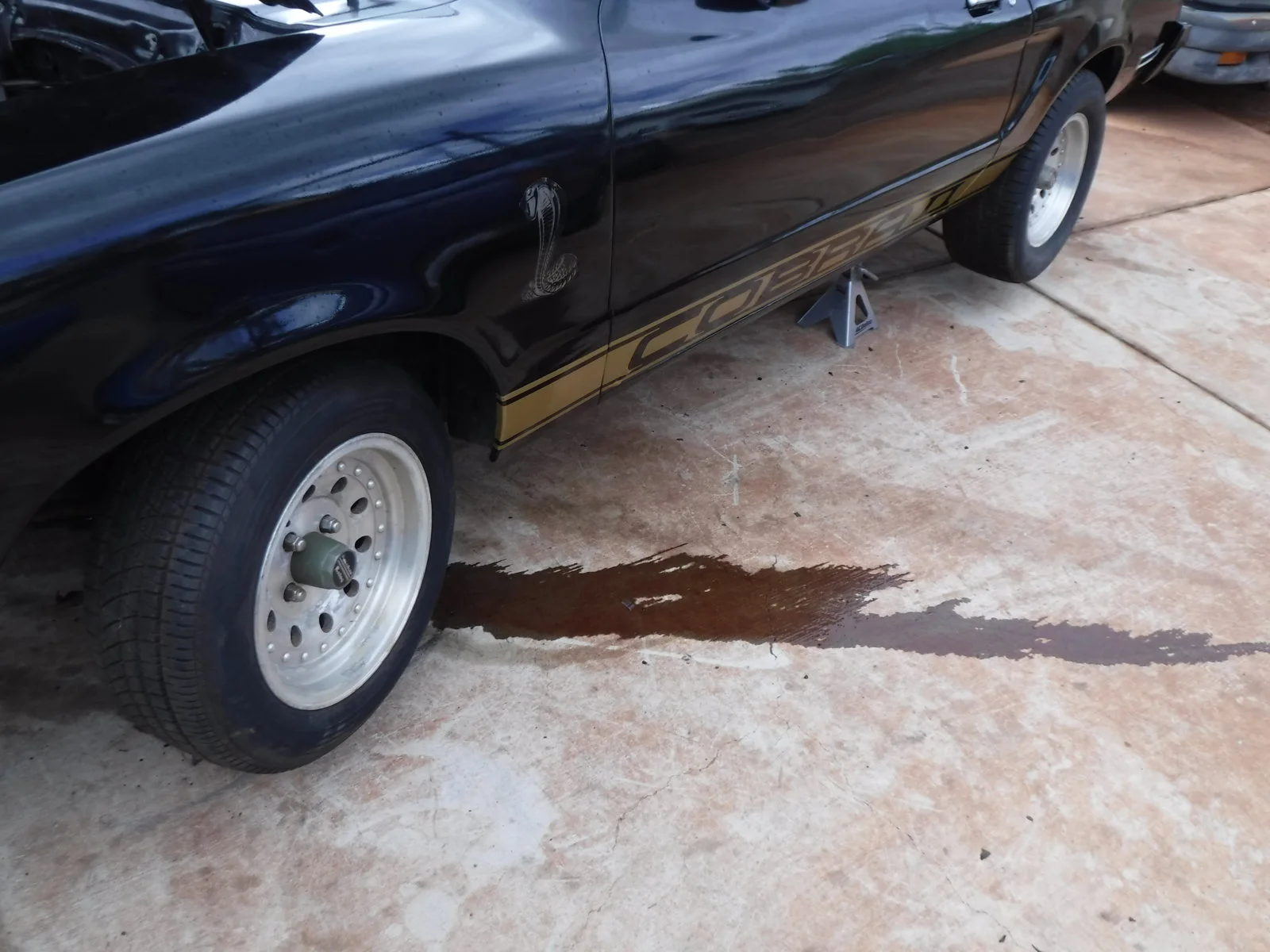 DSCF0351.webp
