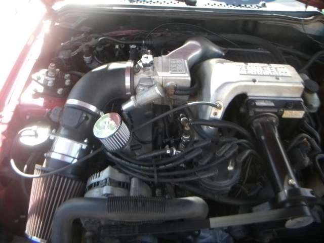 DSCF0371.webp
