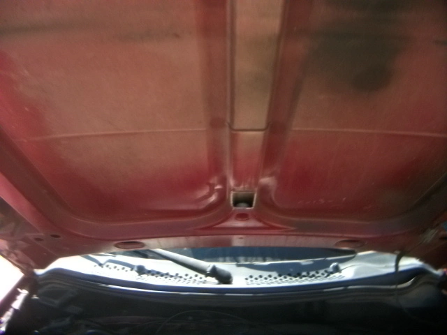DSCF0373.webp