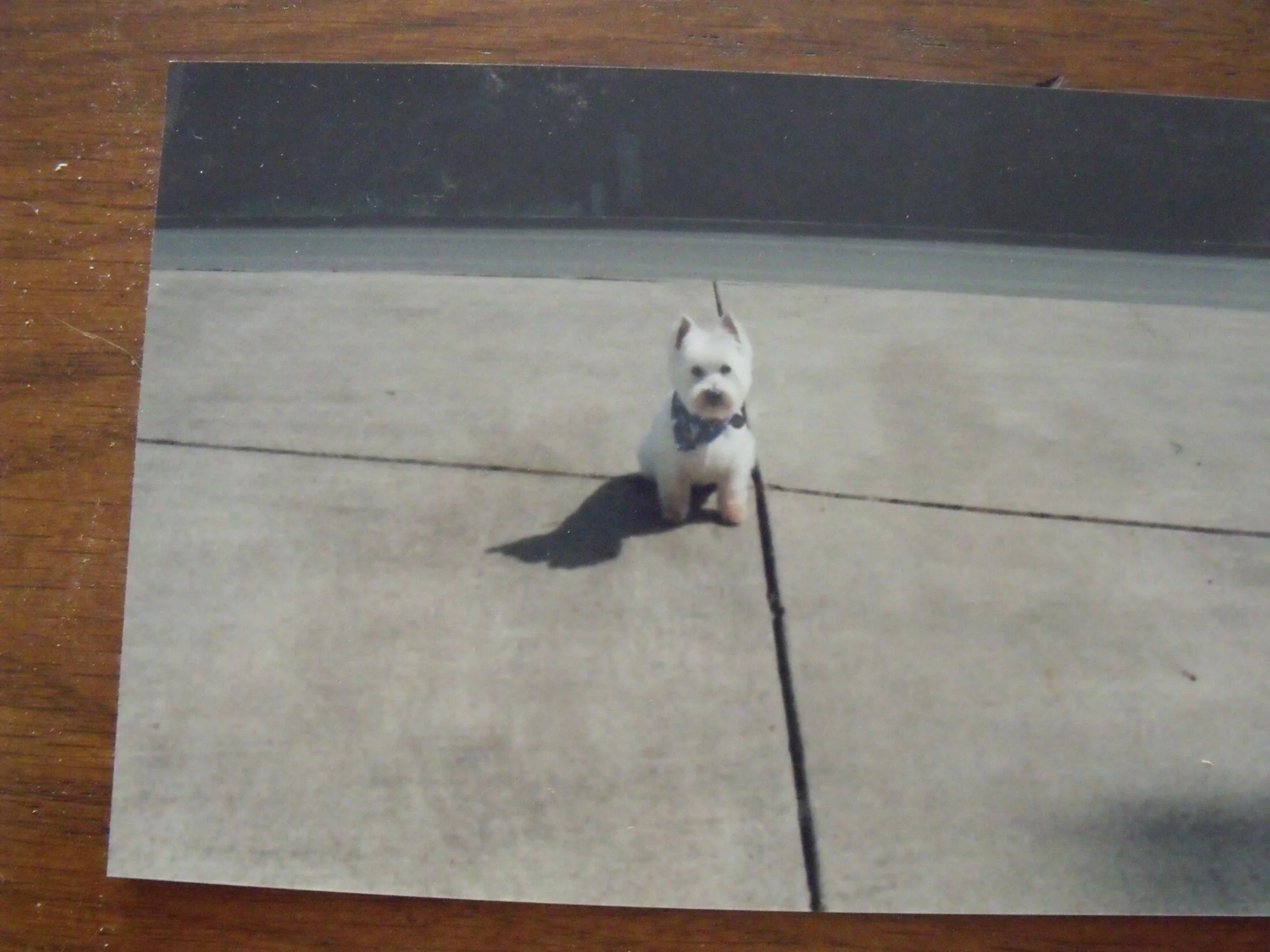 DSCF0410.webp