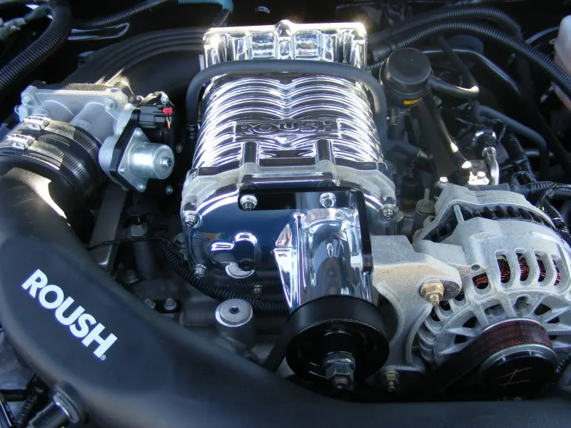 DSCF0431.webp