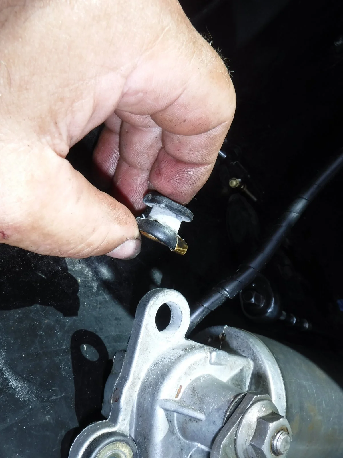 DSCF0439.webp