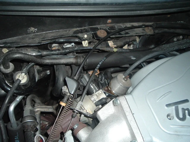 DSCF0460.webp