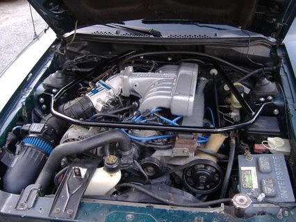 DSCF0461.webp