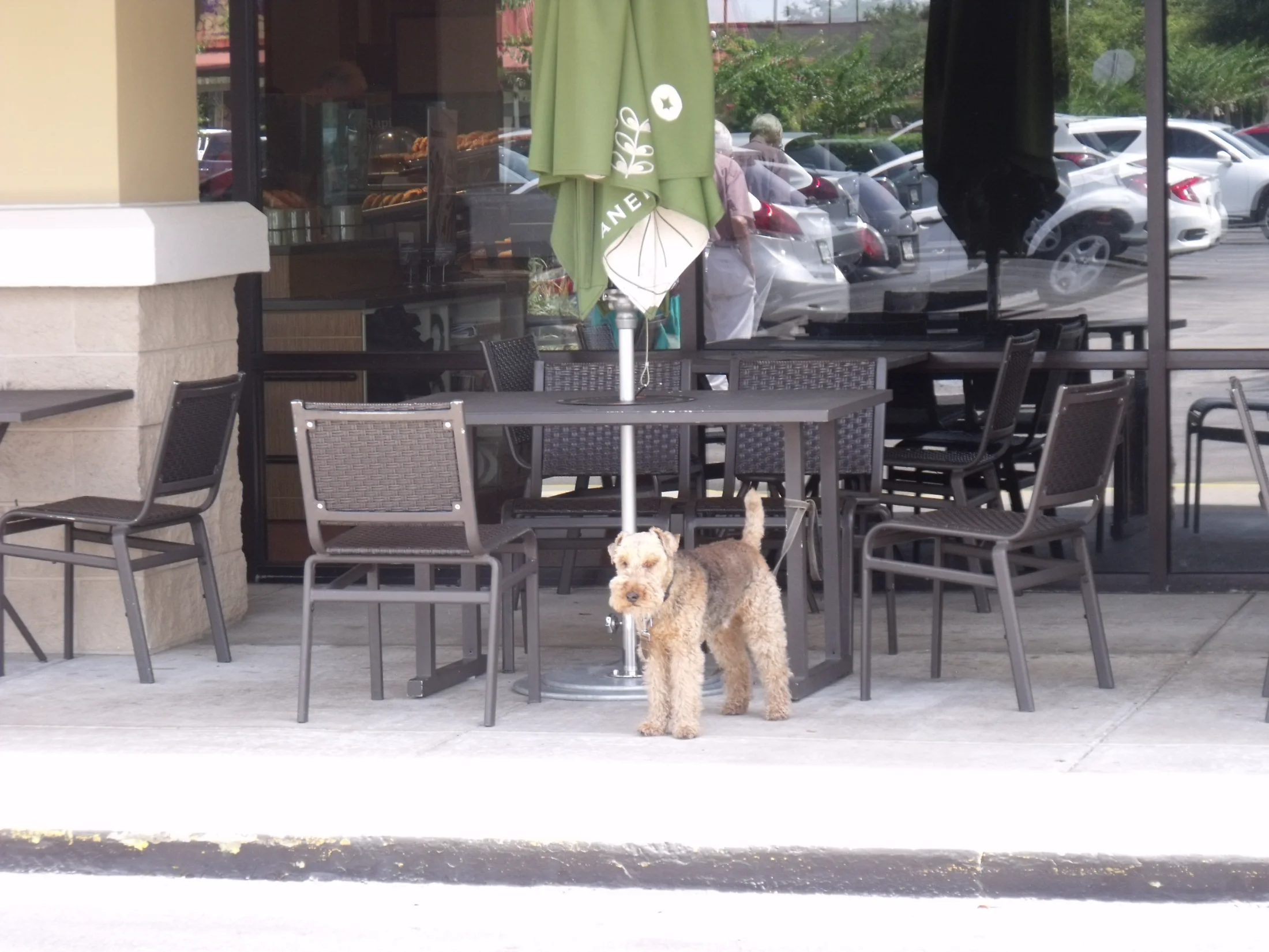 DSCF0483.webp