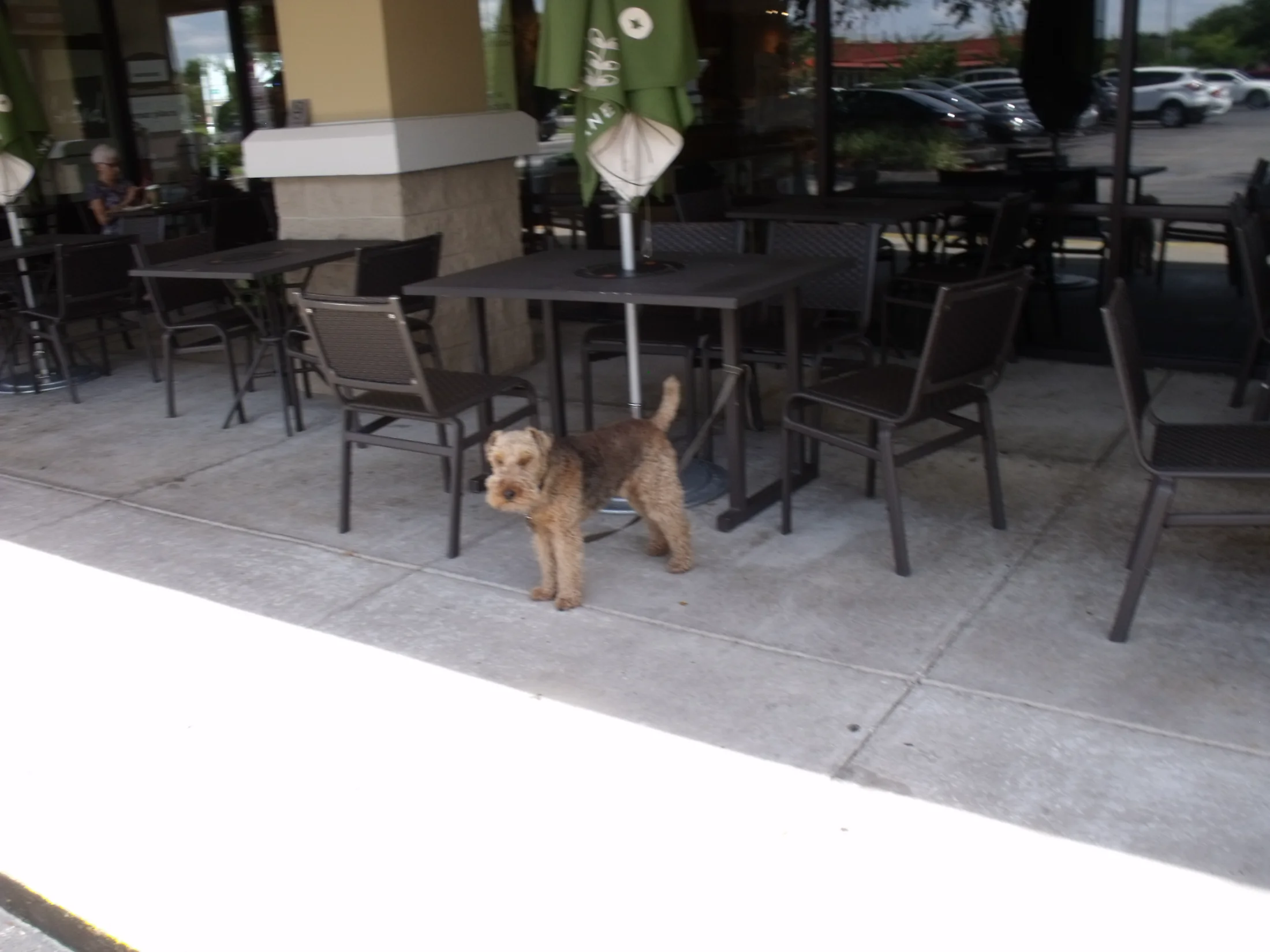 DSCF0485.webp
