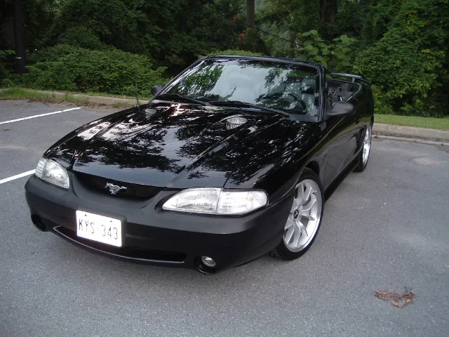 DSCF0490.webp