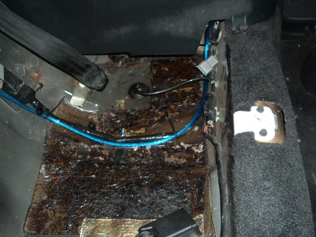 DSCF0515.webp