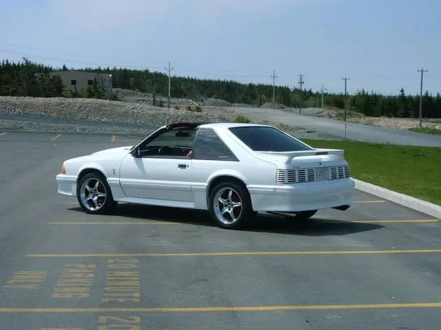 DSCF0536.webp