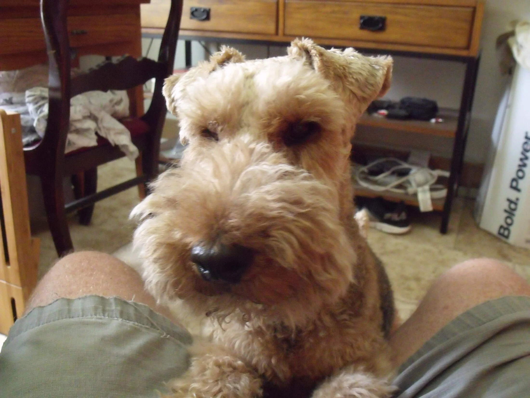 DSCF0538.webp