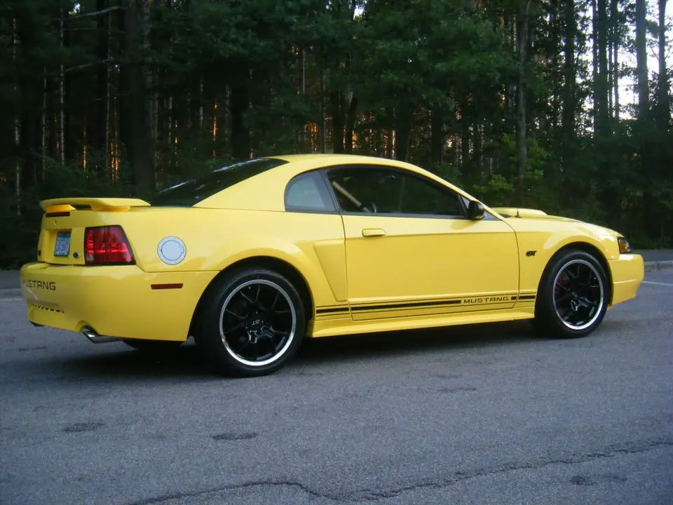 DSCF0599.webp