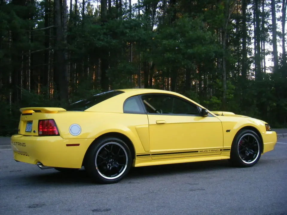 DSCF0600.webp