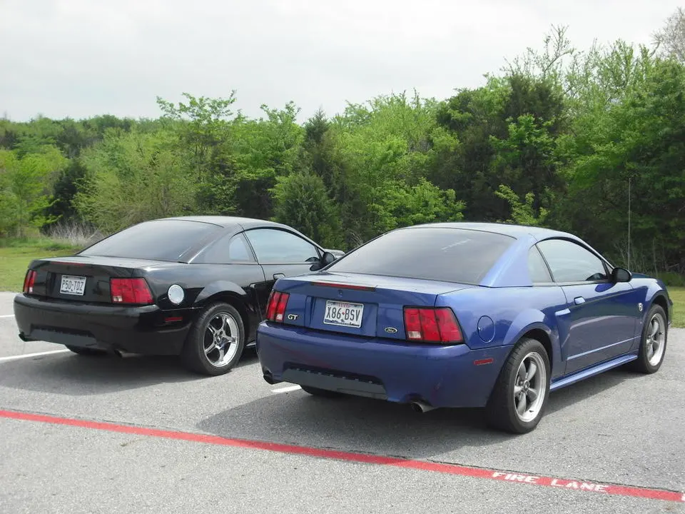 DSCF0674.webp