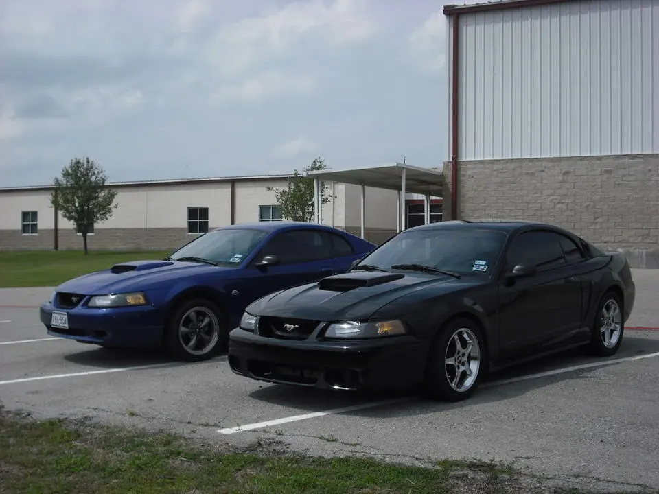 DSCF0675.webp