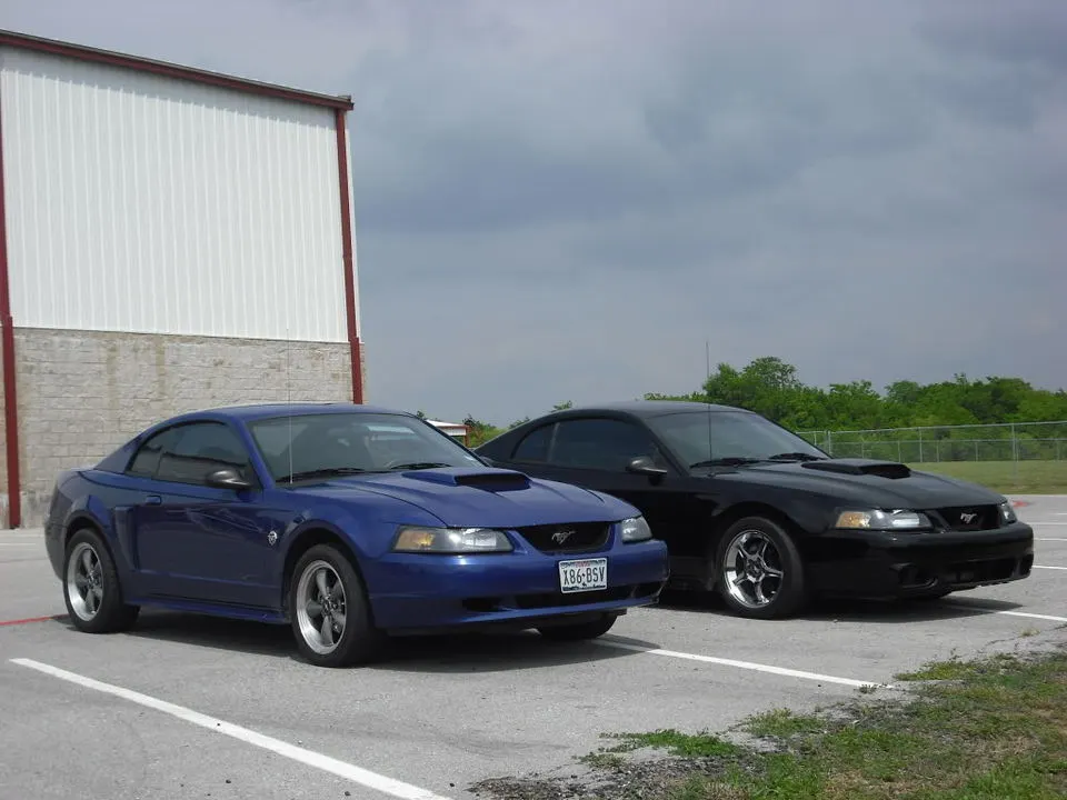 DSCF0678.webp