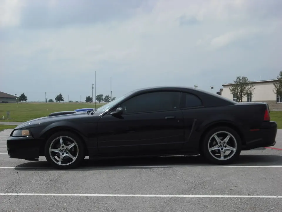 DSCF0681.webp