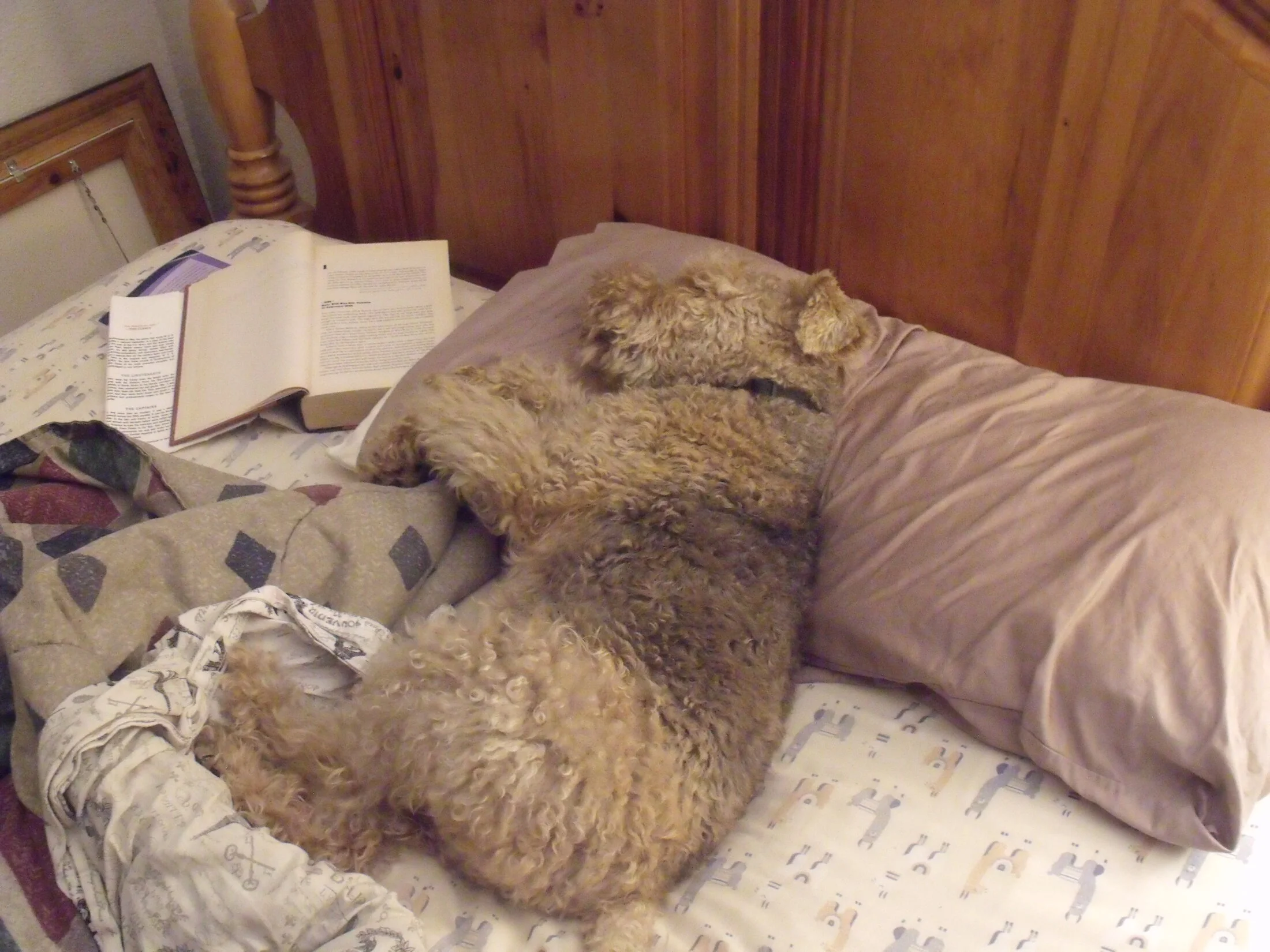 DSCF0691.webp