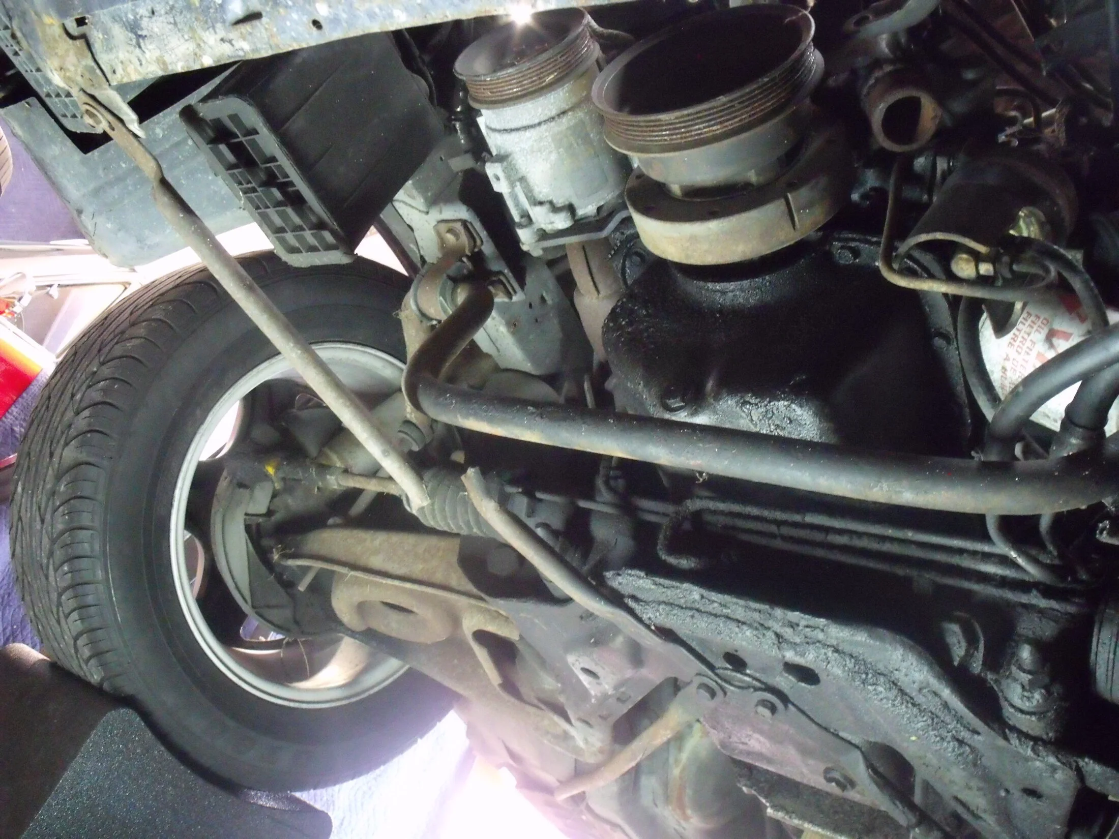 DSCF0703.webp