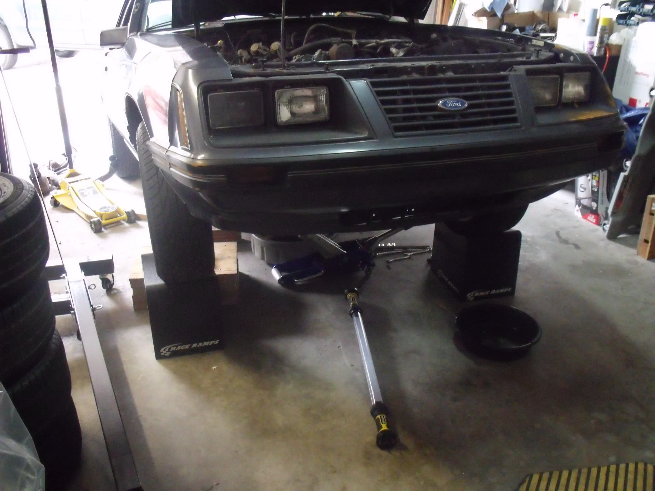 DSCF0706.webp