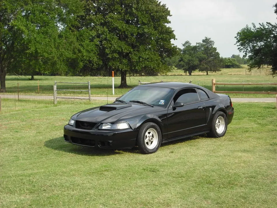DSCF0716.webp