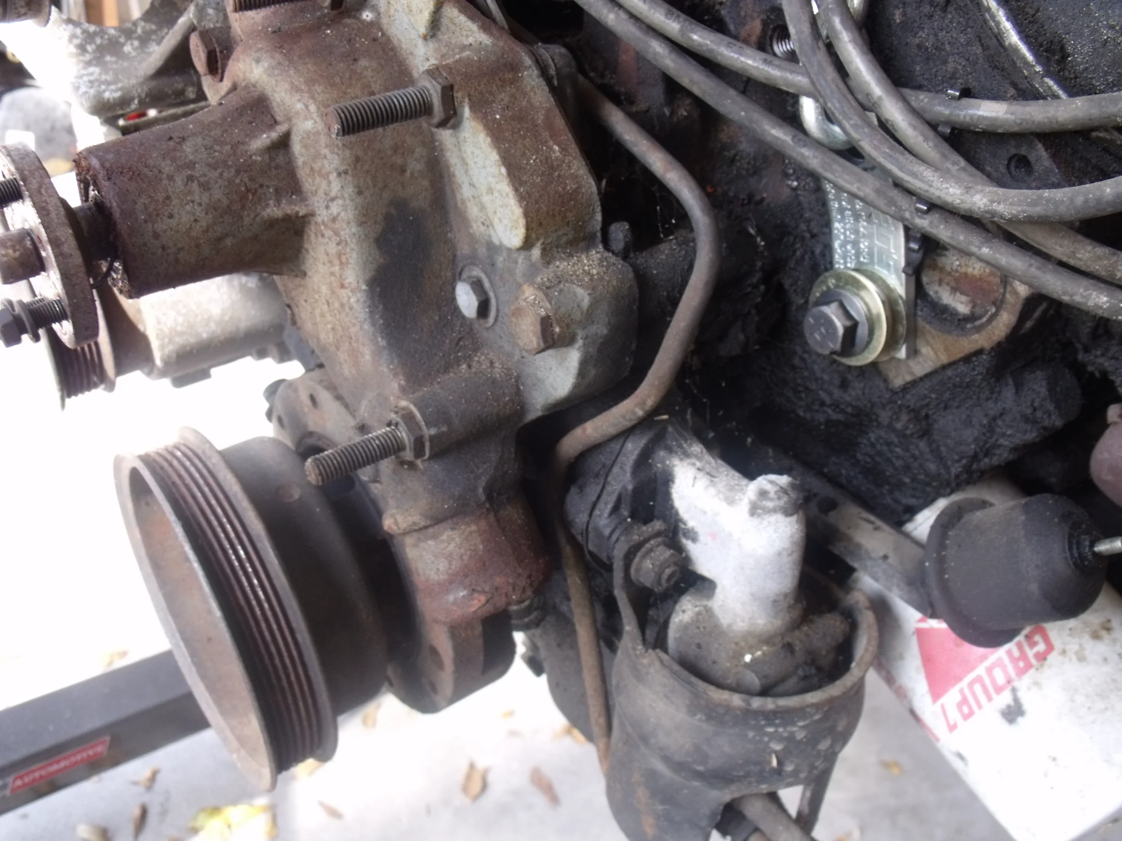 DSCF0717.webp