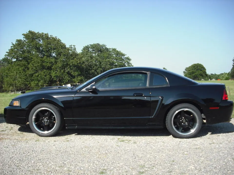 DSCF0723.webp
