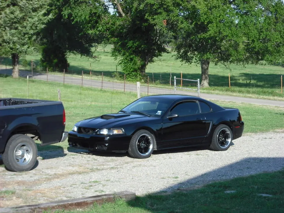 DSCF0728.webp