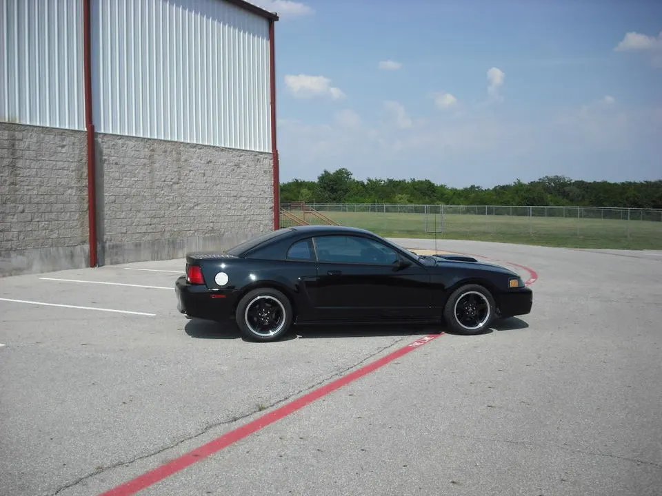 DSCF0731.webp