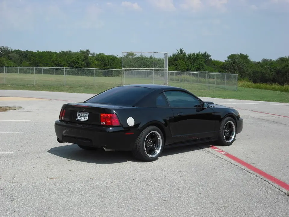 DSCF0733.webp