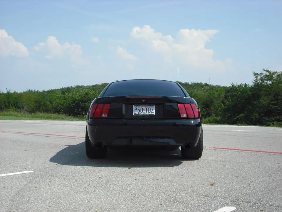 DSCF0735.webp