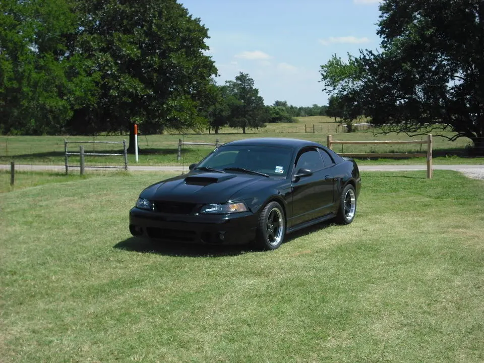 DSCF0741.webp
