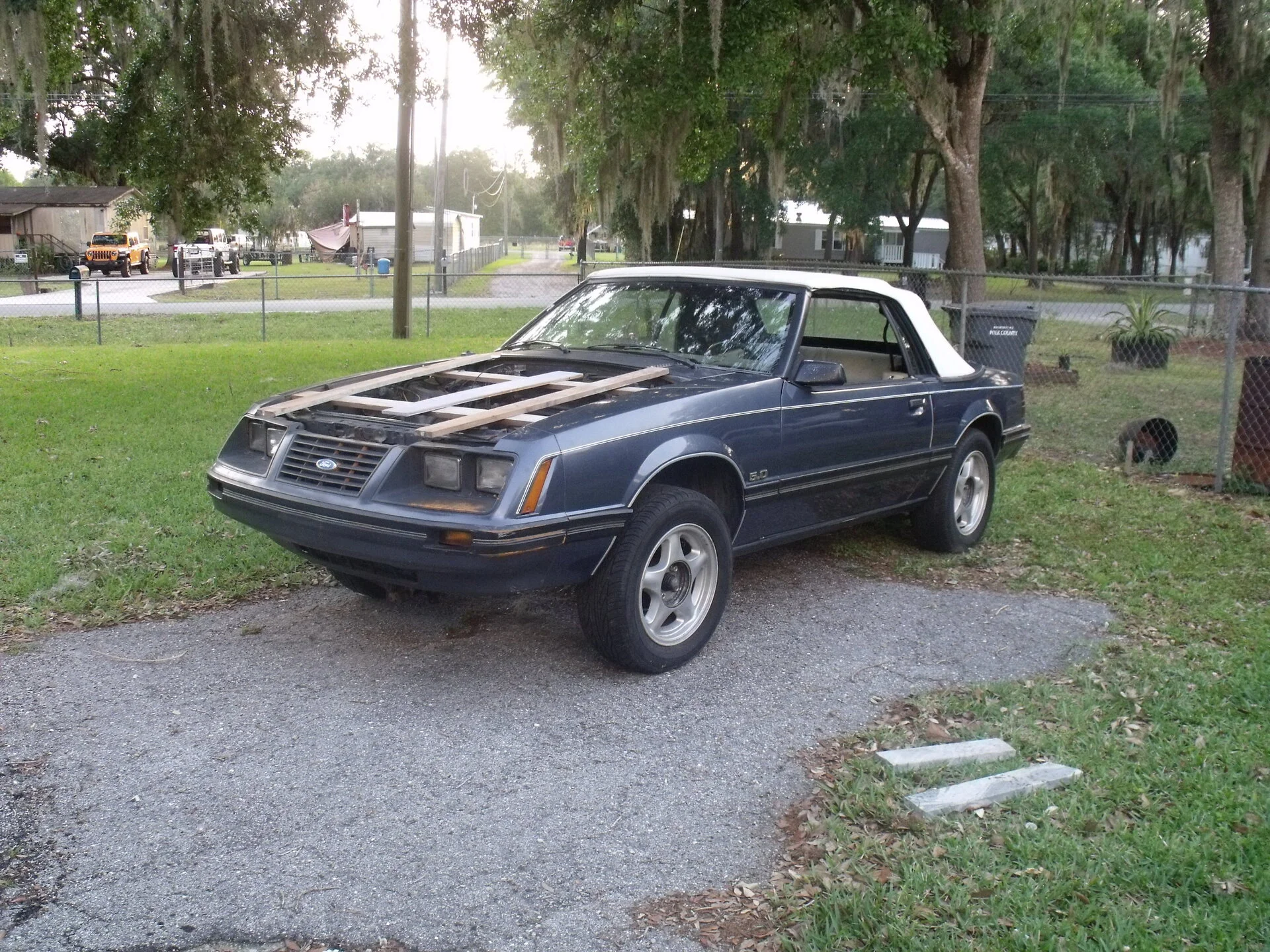 DSCF0747.webp