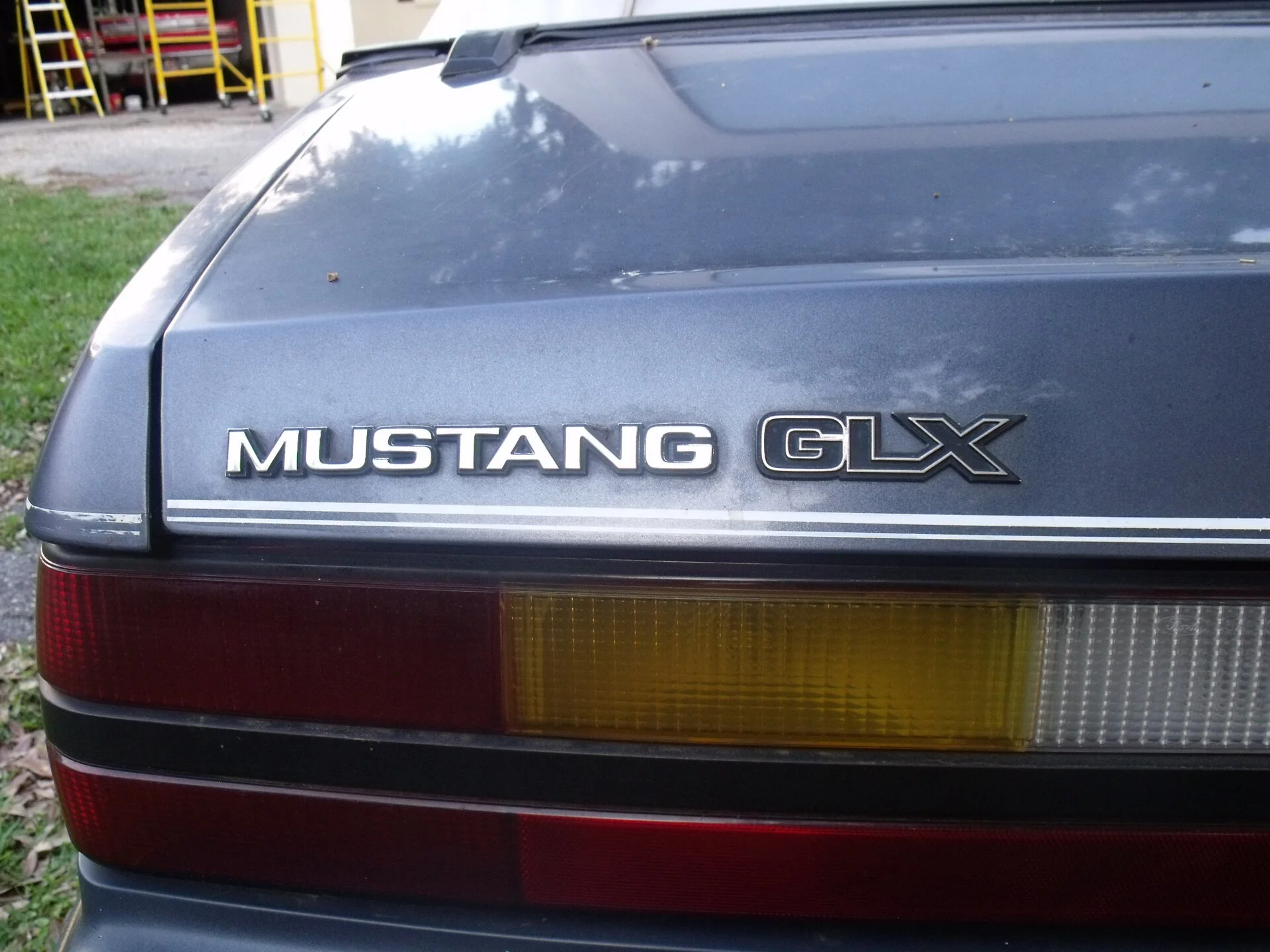 DSCF0749.webp