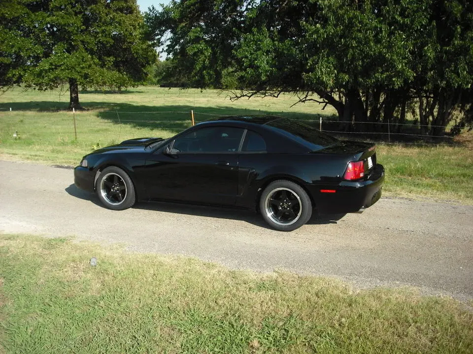 DSCF0751.webp