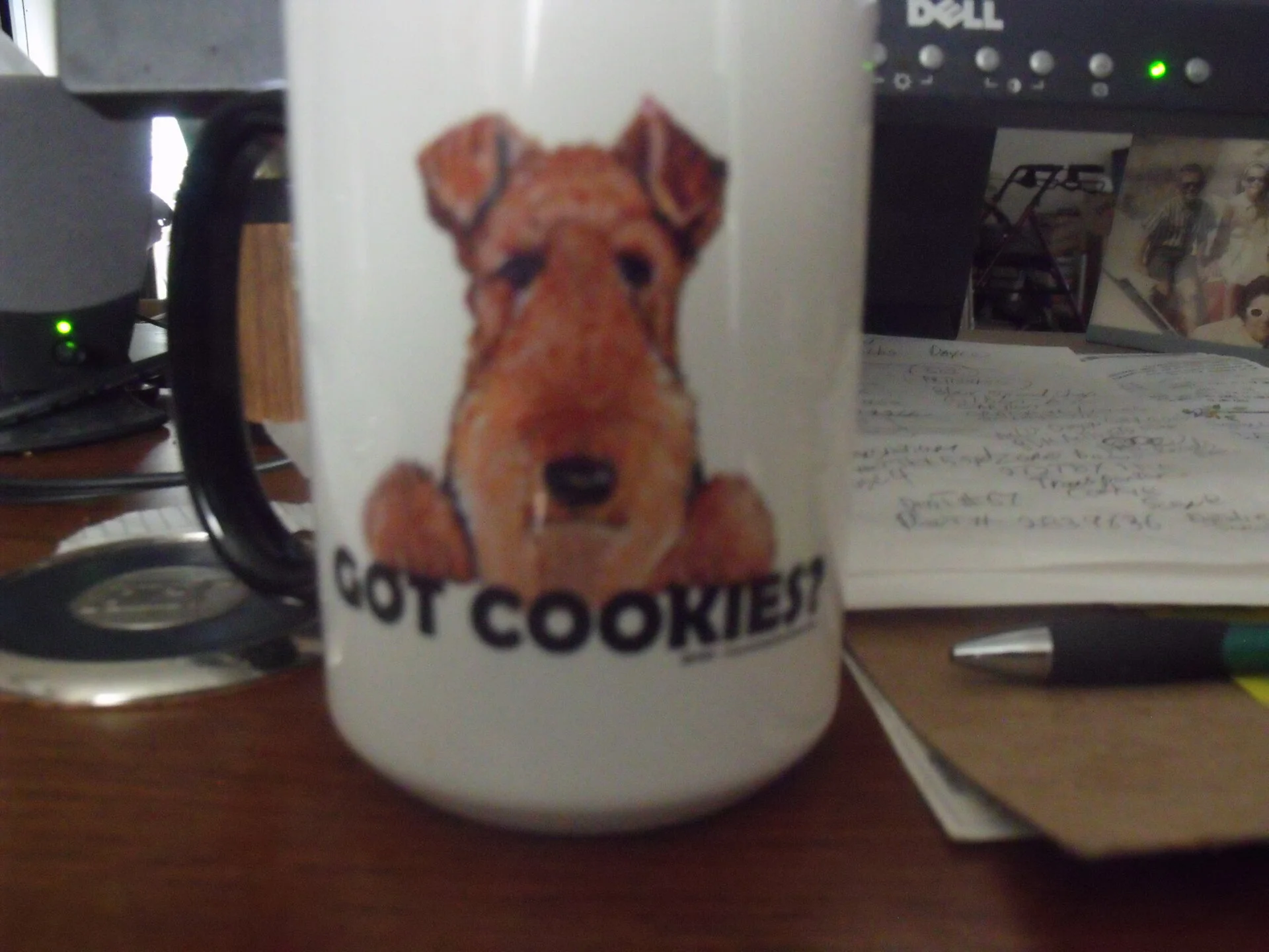 DSCF0757.webp