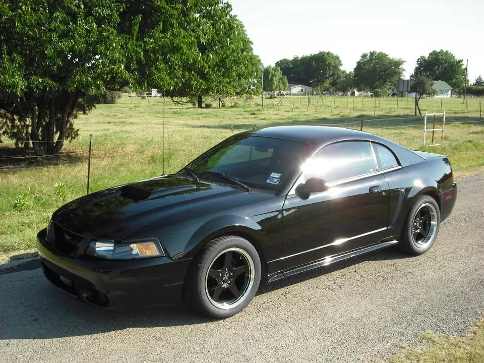 DSCF0758.webp