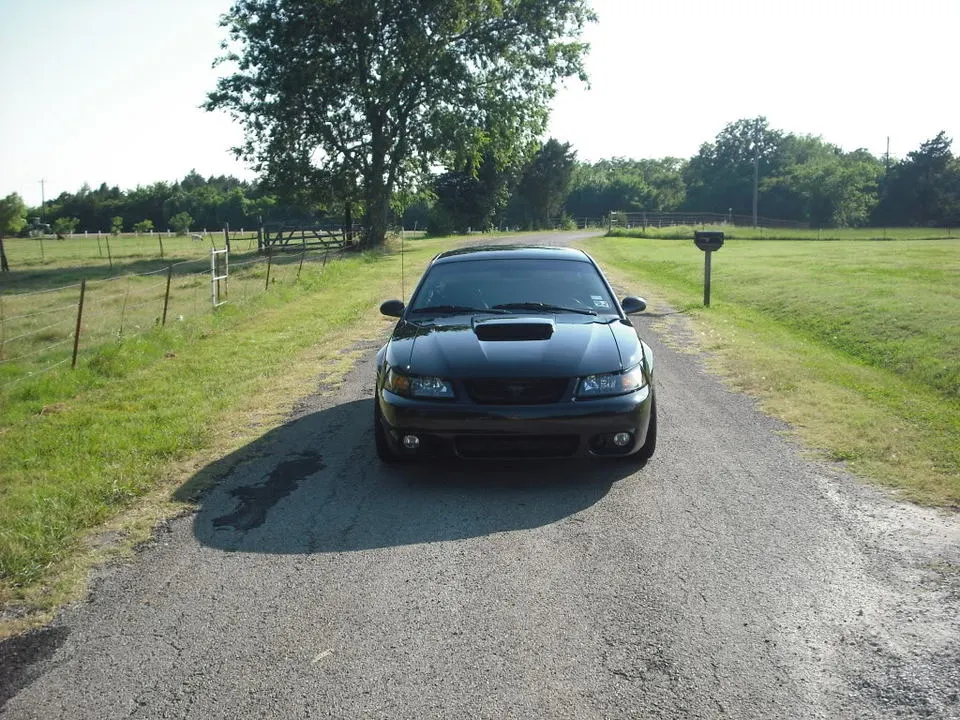 DSCF0760.webp