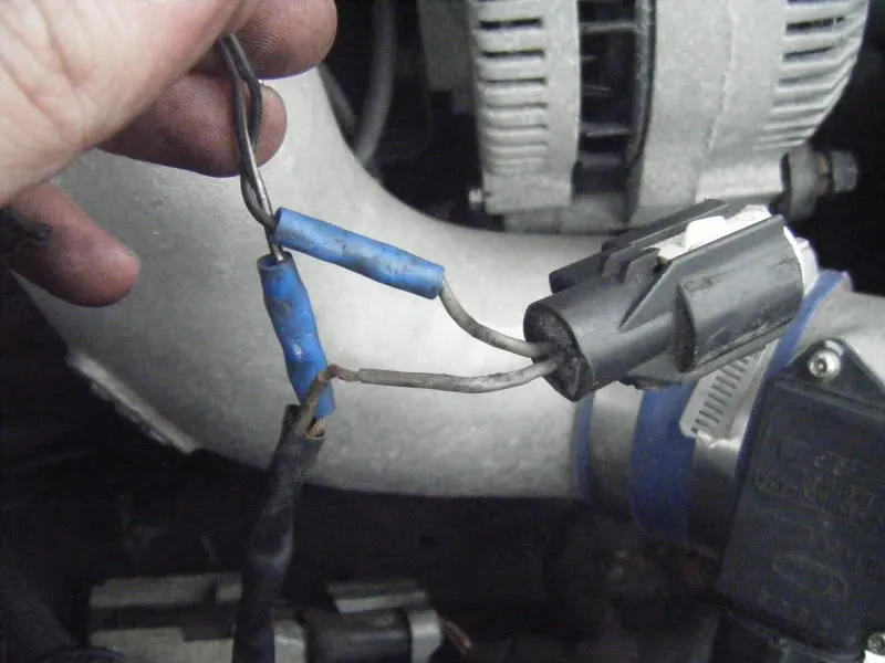 DSCF0806.webp