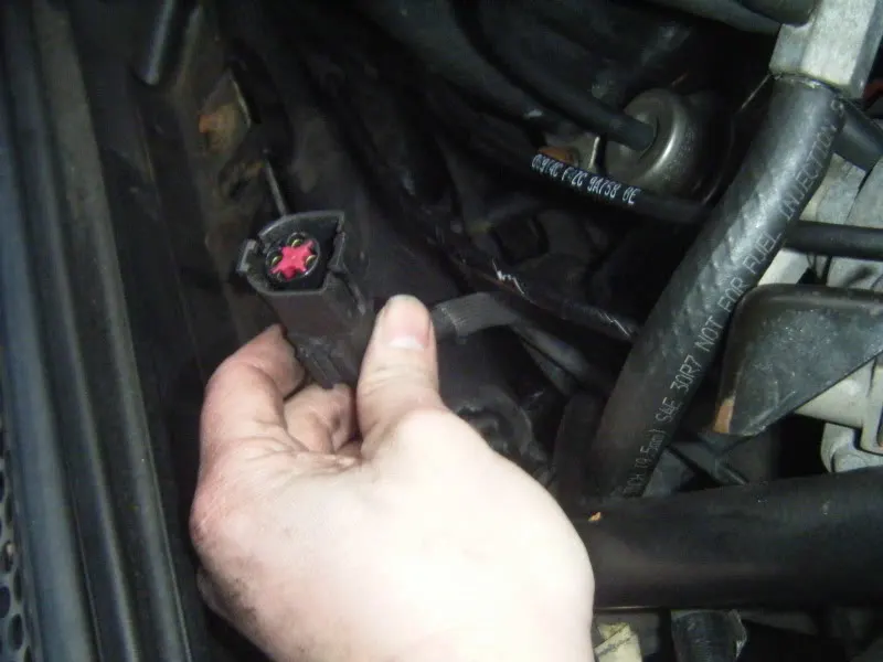 DSCF0807.webp