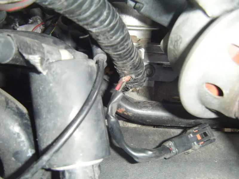 DSCF0810.webp