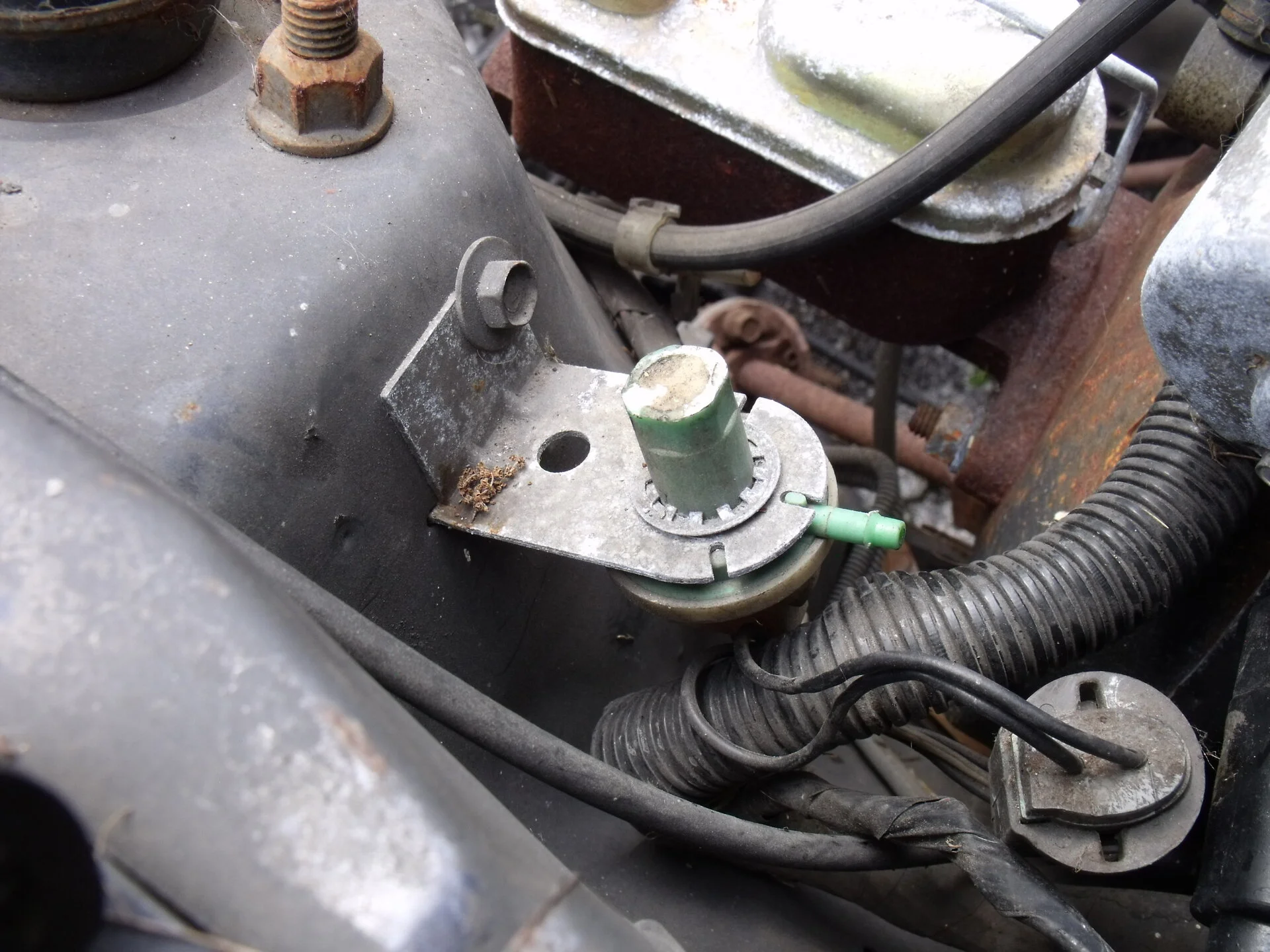 DSCF0820.webp