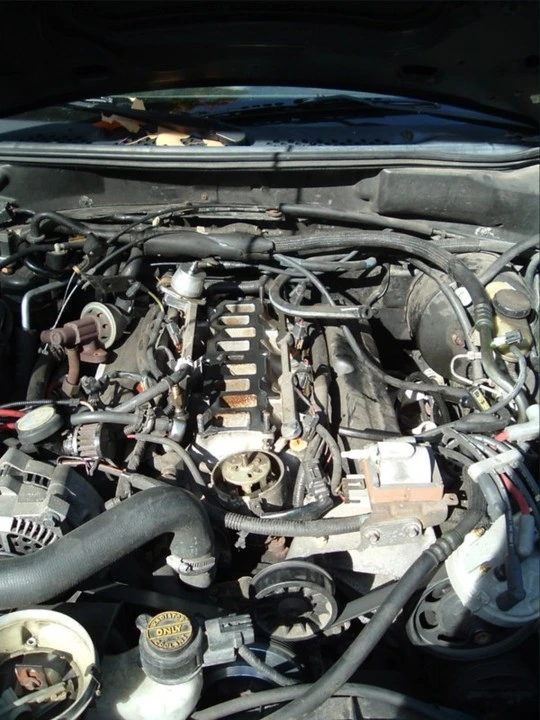 dscf0855.webp