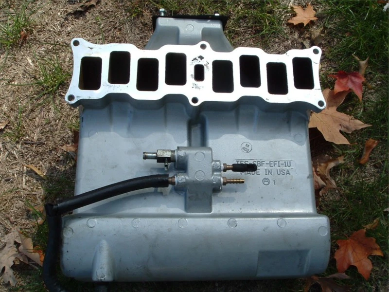 dscf0856.webp